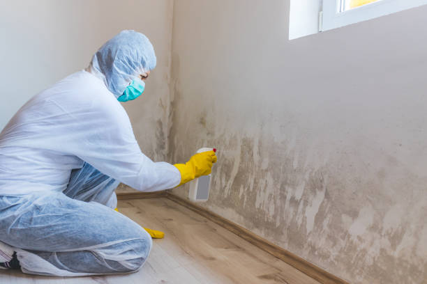 Mold inspector in Morrisdale performing thermal imaging