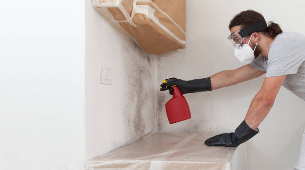 Attic Mold Remediation treatment on roof deck in Morrisdale